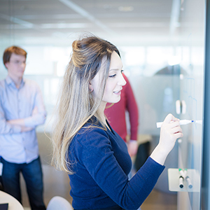 Werken bij de Belastingdienst