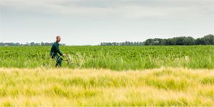 Werken bij HZPC Holland