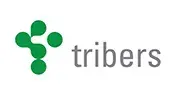 Scrum Master Traineeship bij Tribers