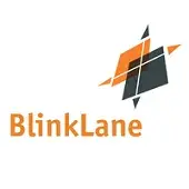 Consultancy Traineeship bij BlinkLane Consulting